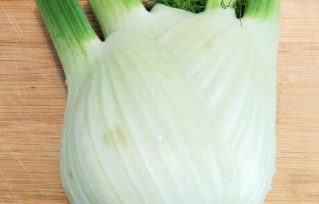 fennel bulb